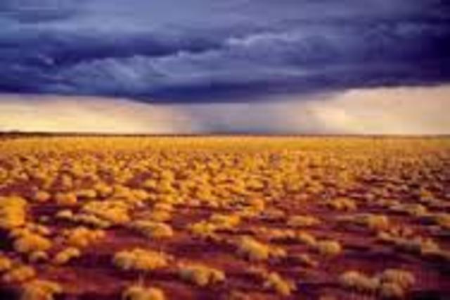 Gibson Desert