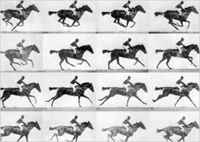 What he was thinking about becoming