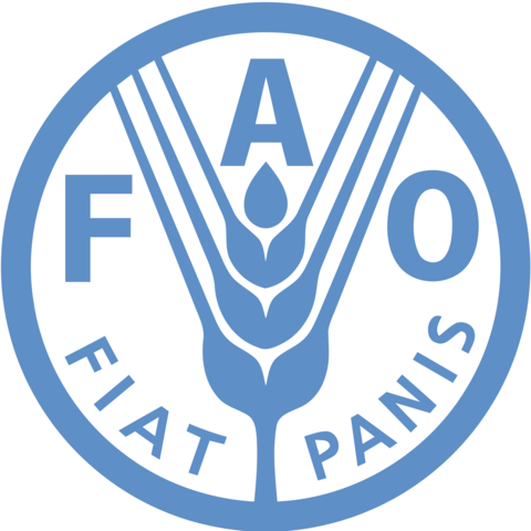 Creació de la FAO