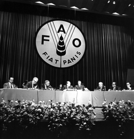 Conferència mundial de l'alimentació