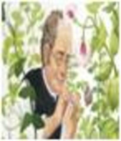 Mendel Descubre bases de la herencia