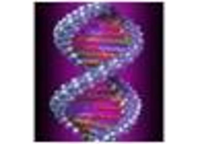 Mischer Descubre nucleina