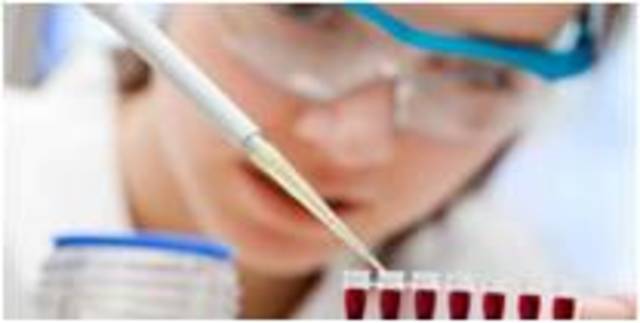 Reacciones en cadena polimerasa