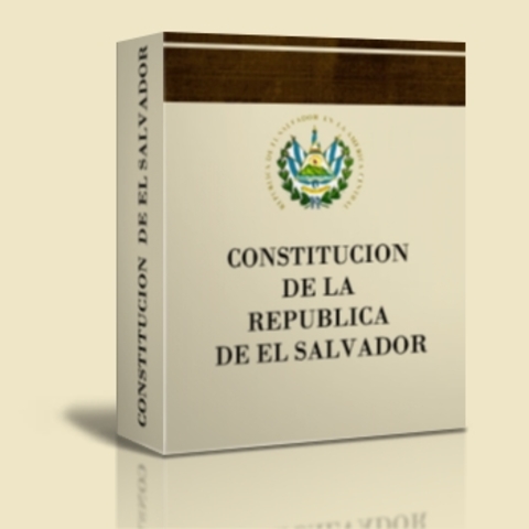 creacion de la nueva constitución de la Republica
