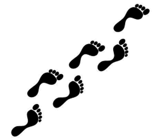 Primeros pasos de Venezuela