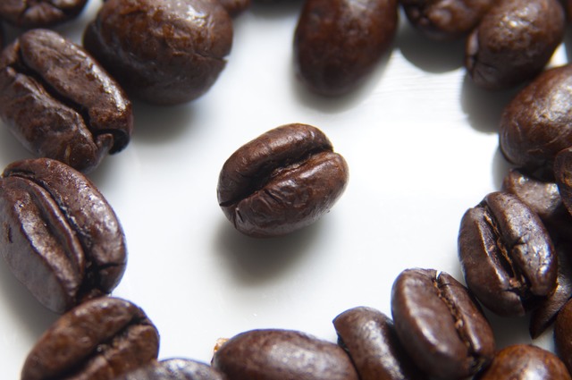 Coffee Plants Began to Grow Around the World
