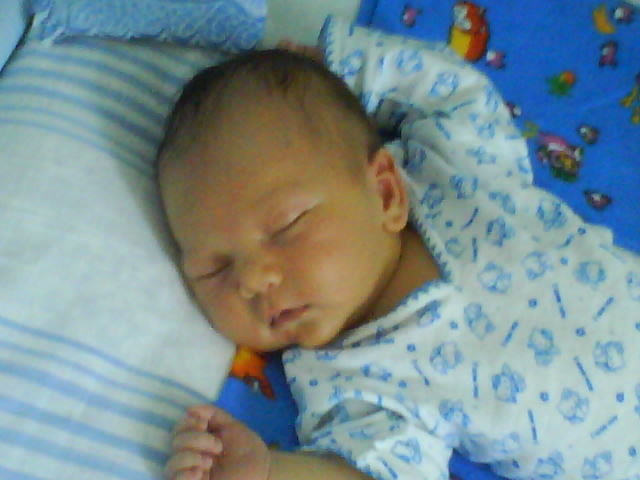 первые дни дома