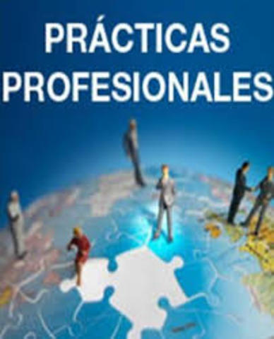 Practicas Profesionales y Servicio Social