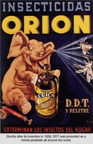 DDT - The "Wonder Insecticide"