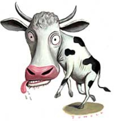 Mad Cow Disease Plagues U.S.