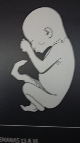 semana 13- 16 (mes 4)