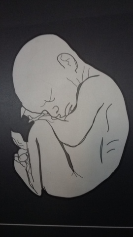 semana 21-24 (mes 6)