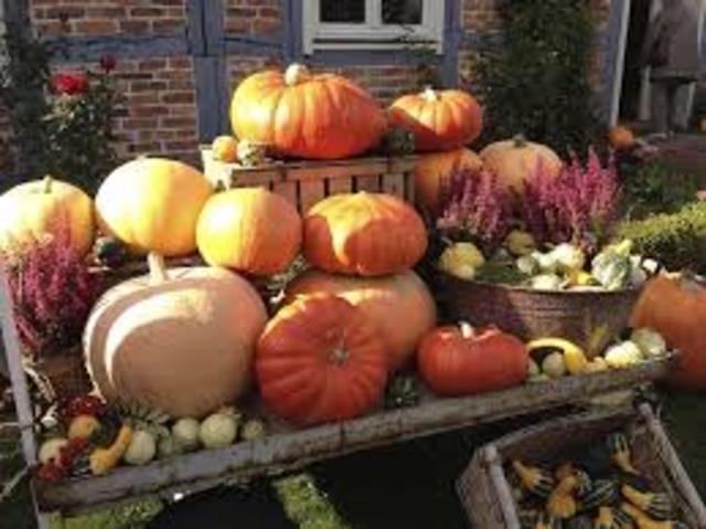 Freaky Friday @ Upper St. Clair