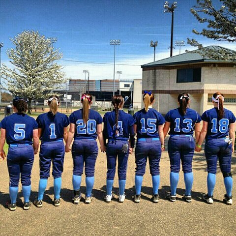 Joined Division 3 Softball at Dutchess