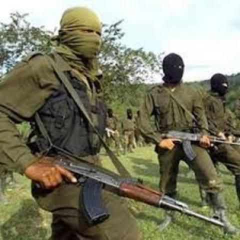 Las Fuerzas Guerrilleras