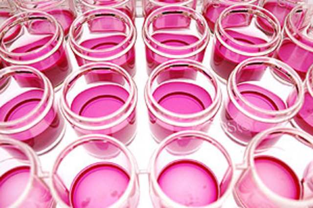 Cultivos en laboratorios