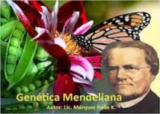 Gregor Mendel