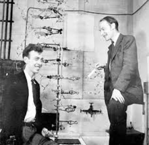 Watson y Crick
