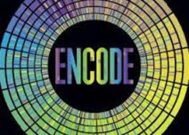 Encode