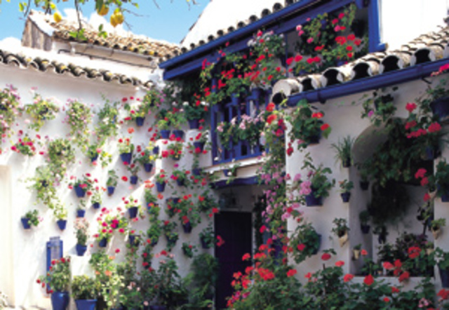 The Festival of the Patios: Intangible Cultural Heritage of Humanity Sites