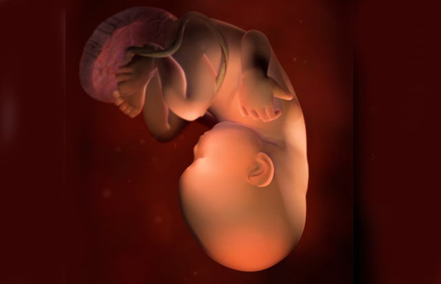 SEMANA DE LA 30 a 38