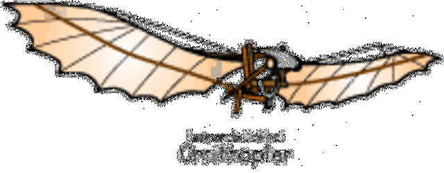 Leonardo da Vinci made the first real studies of flight in the 1480's.