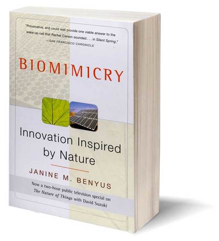 Biomimicry: Innovation Inspired by Nature
