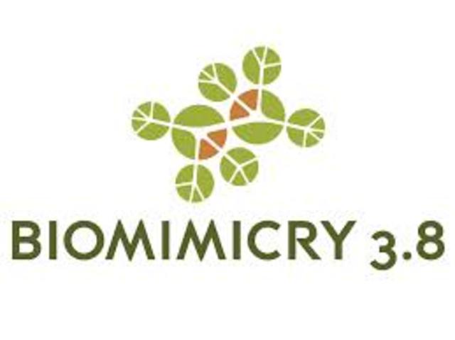 Biomimicry 3.8