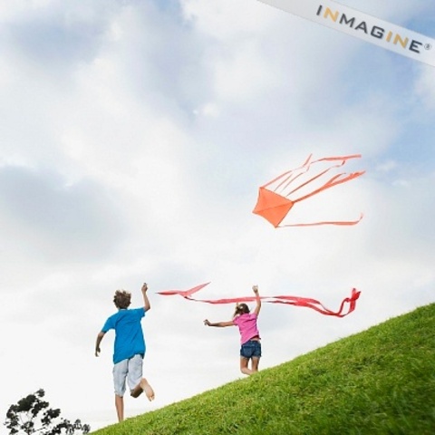 Importancia del juego