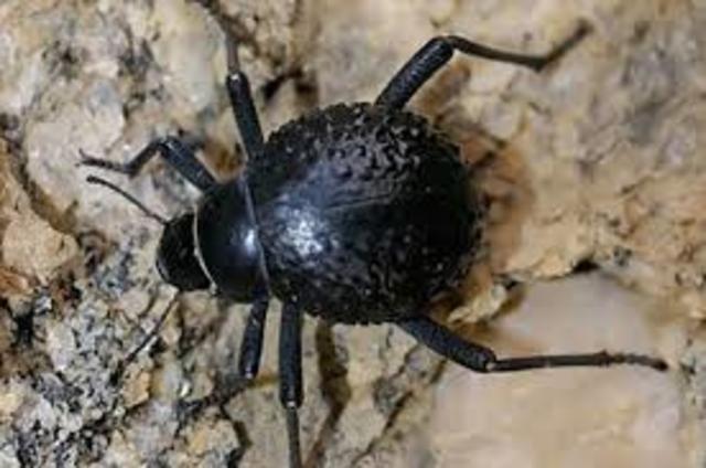 Botella diseñada con nanotecnologia