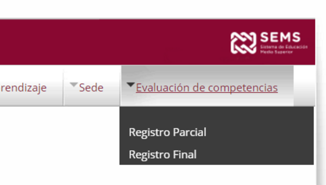 Avance en el logro de competencias genéricas