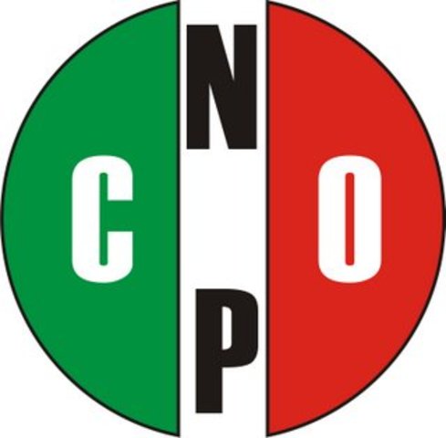 ORGANIZANDO LA CNOP