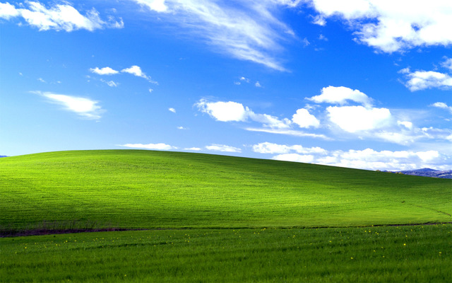 Windows XP is Released