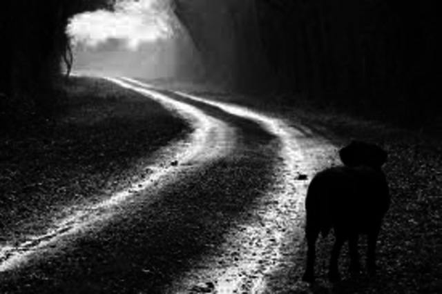 There Will Come Soft Rains