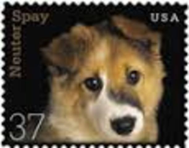 The Stamp Act was enacted