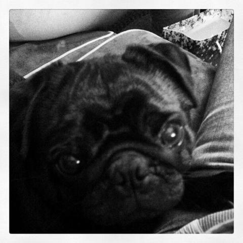 Charles Mingus the II meets his new family