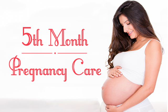 5th month of pregnancy