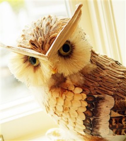 The Owl was chosen as the symbol, representing wisdom