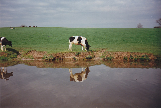 The Million-Year Picnic