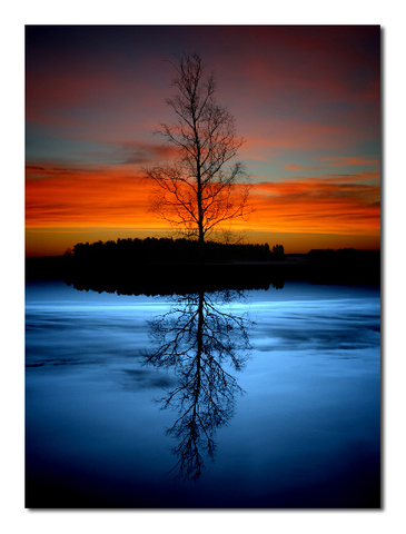 The Million-Year Picnic