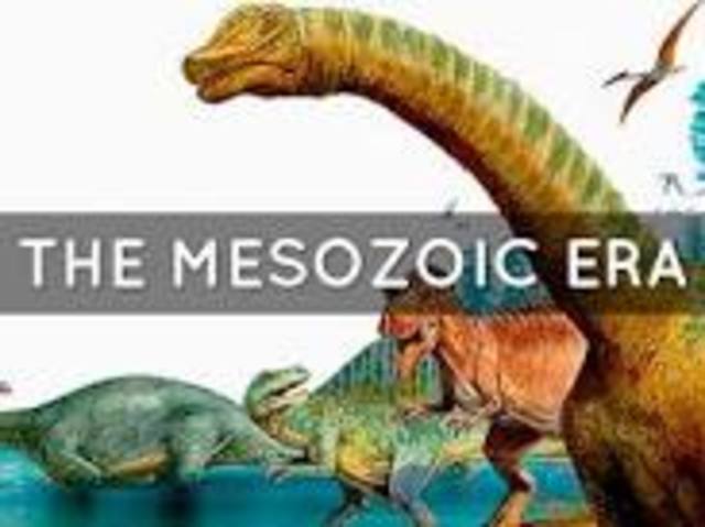 Meszoic Era