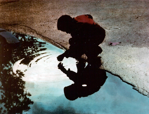 The Million Year Picnic