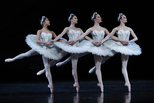 Swan Lake