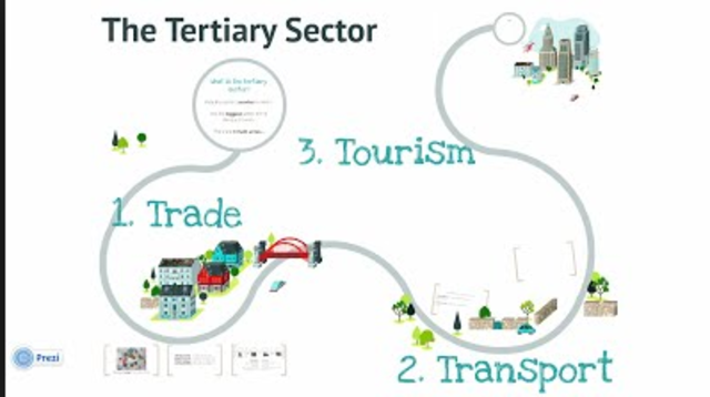 The Tertiary Sector