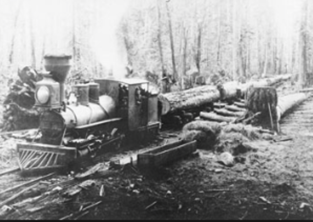 Economy based on timber