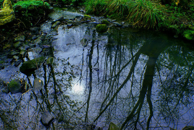 The Million-Year Picnic