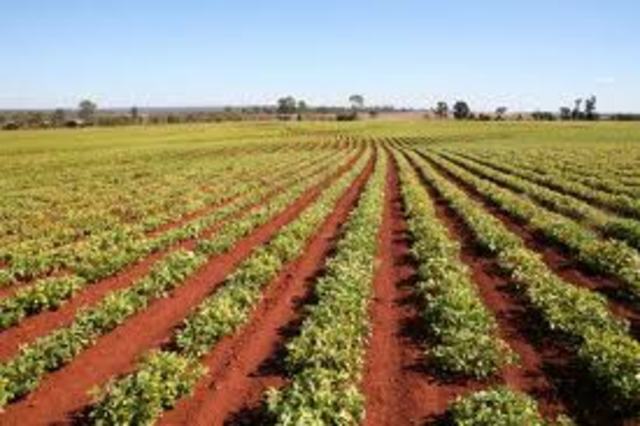 Farmland Legislation