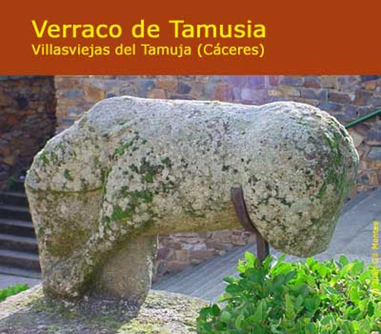 Pueblo prerromano vettones