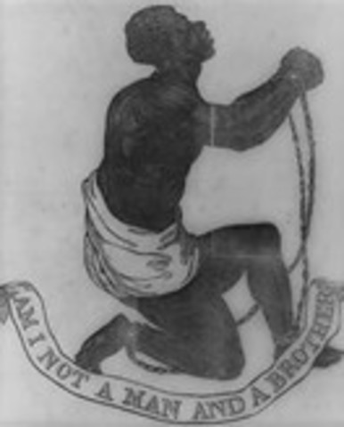 The Three-Fifth's Compromise