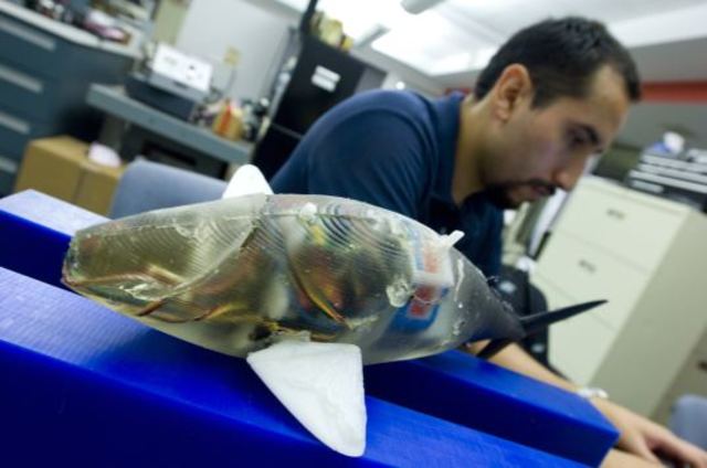 Se crea el Robotuna para estudiar a los peces